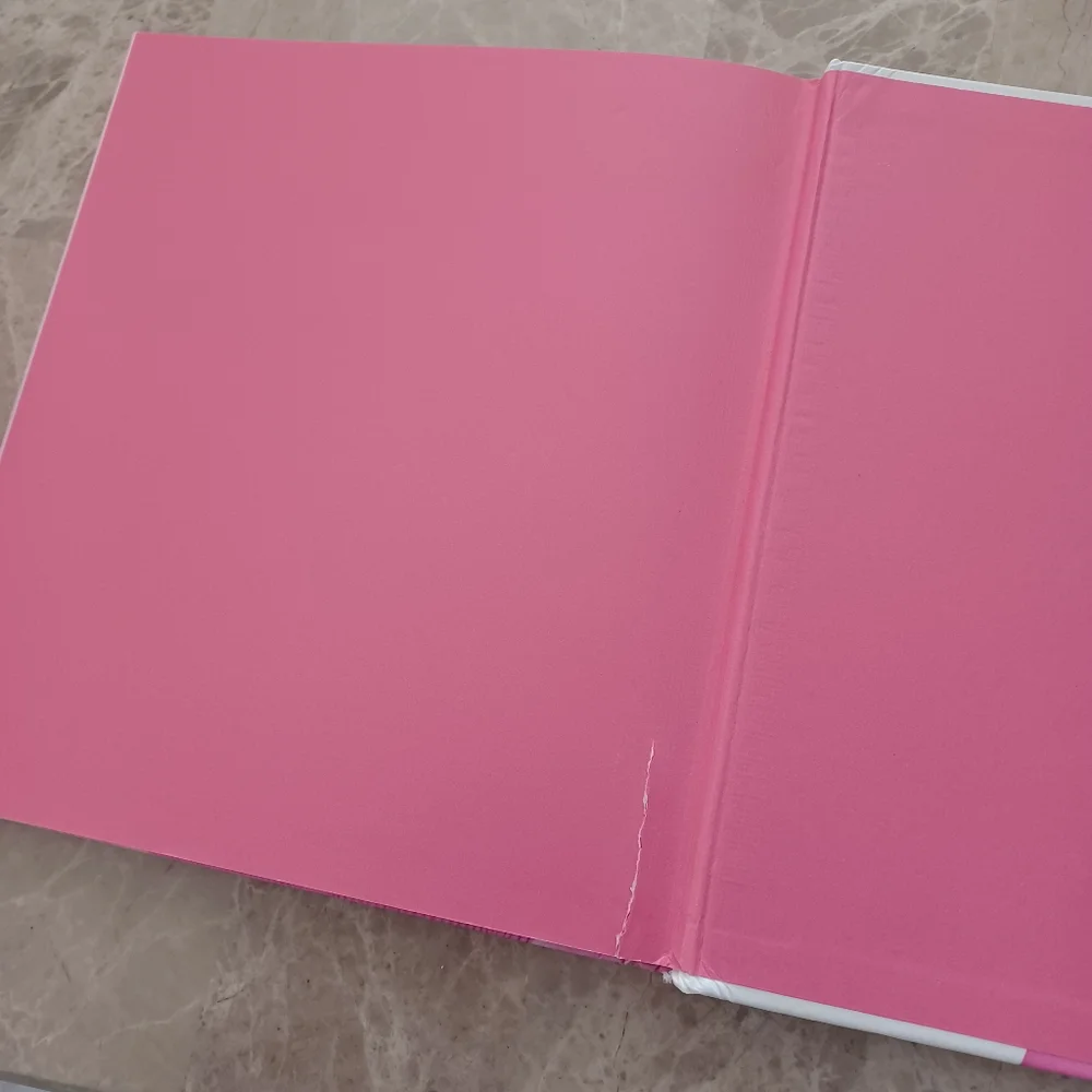 Pinkalicious The Princess of Pink Treasury By Victoria Kann Stories & Games Book